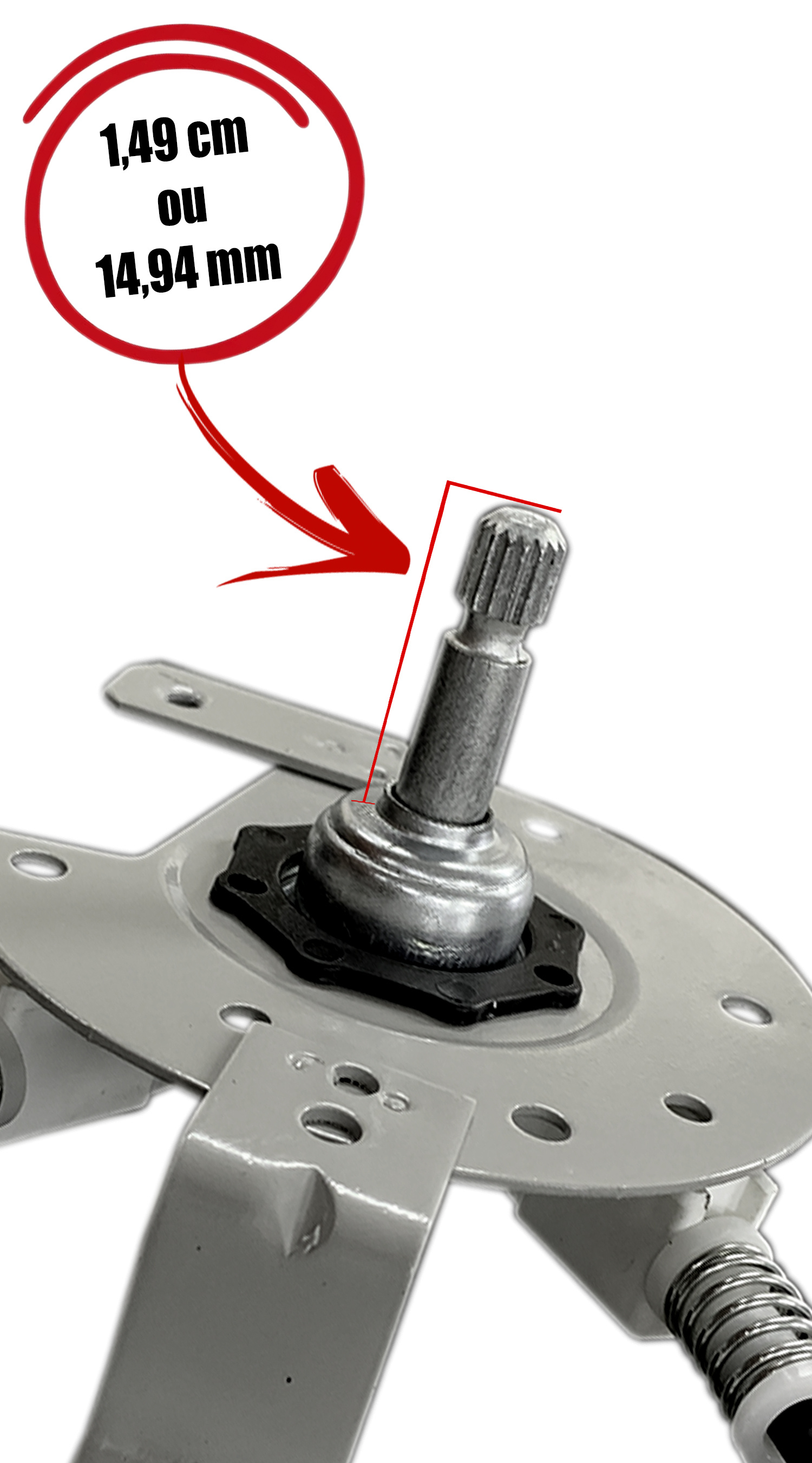 メイ Máquina de vidro R-4186E | Produtos | Zinni & Güell