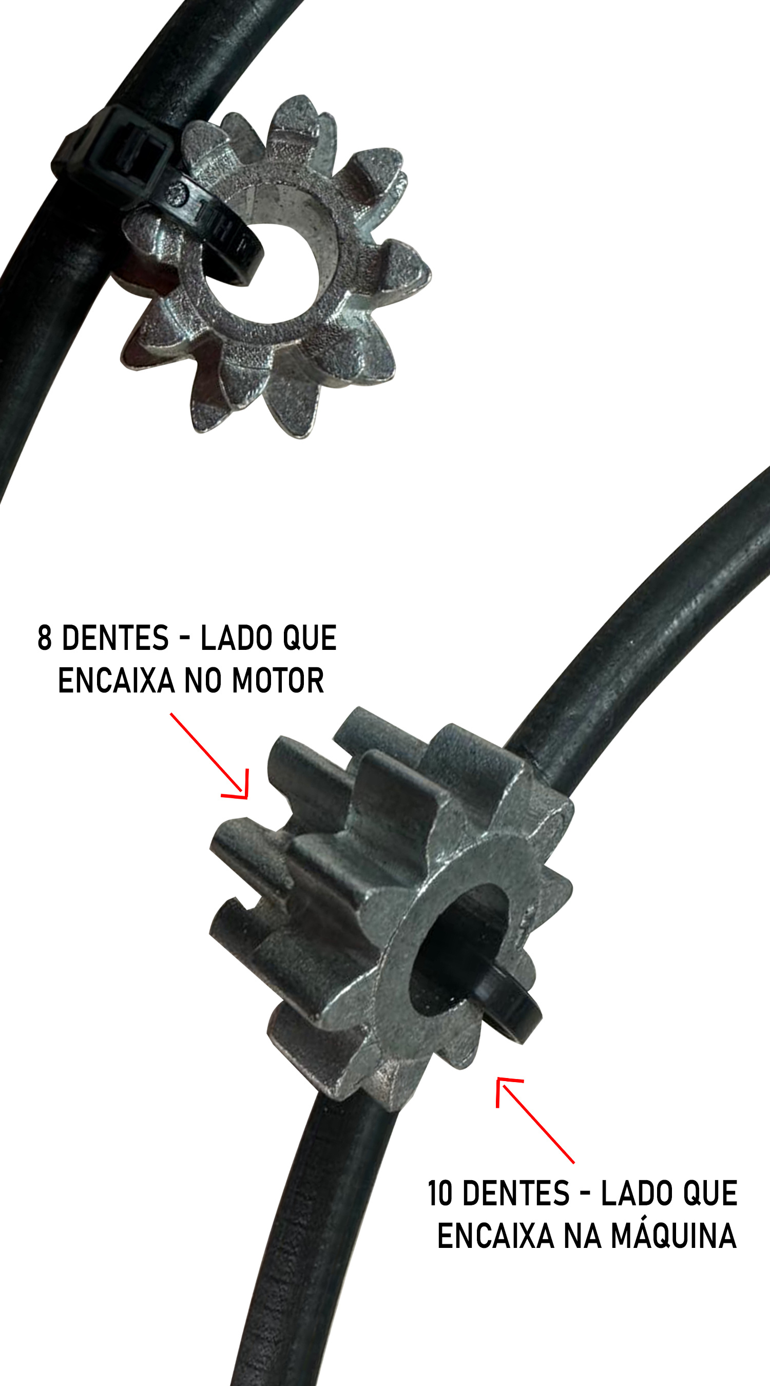 Máquina de vidro R-7402D SM | Produtos | Zinni & Güell